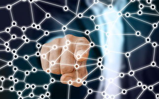 星空体育入口app-中国篮球职业联赛青训体系的结构优化，中国青年篮球联赛简称